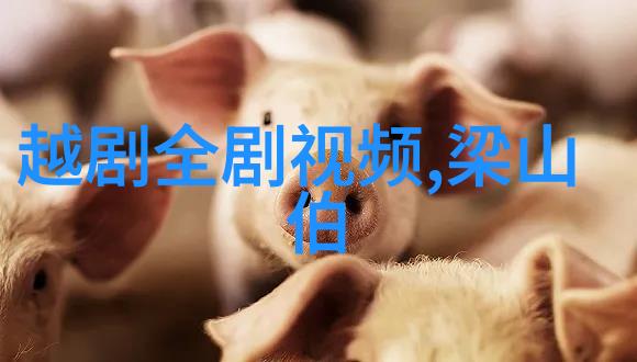 越剧状元与乞丐