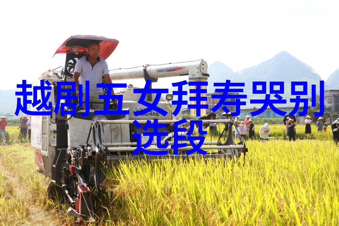 越剧梁祝惨史