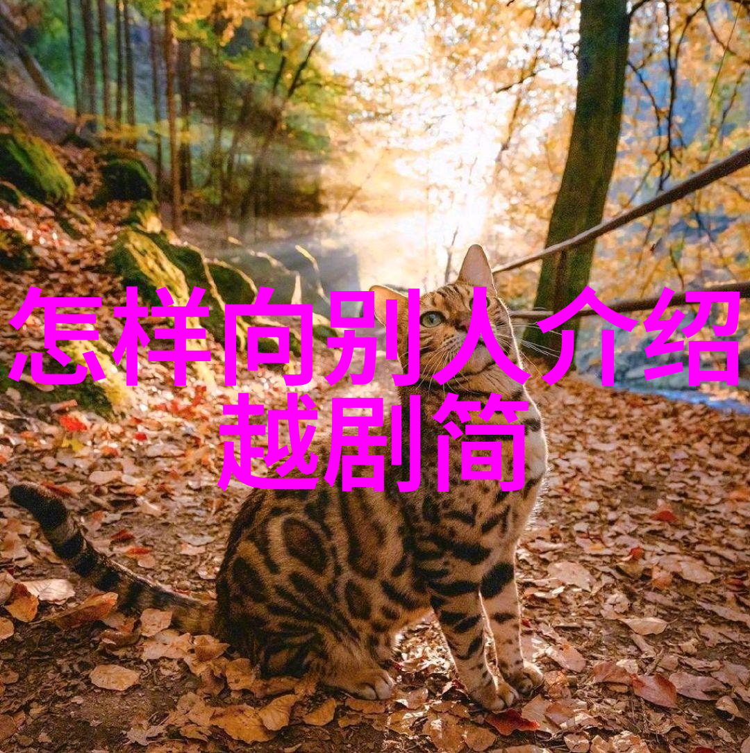 第一节 谚语口诀