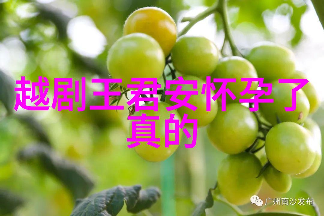 越剧银瓶