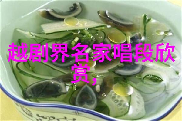 越剧西园记我只盼红梅寄语偕永好 剧本唱词