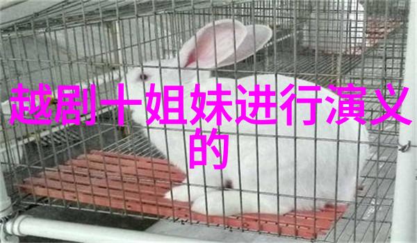 越剧状元扫地